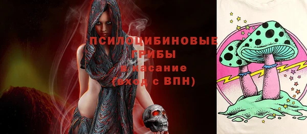 гашик Нестеровская