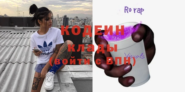 гашик Нестеровская